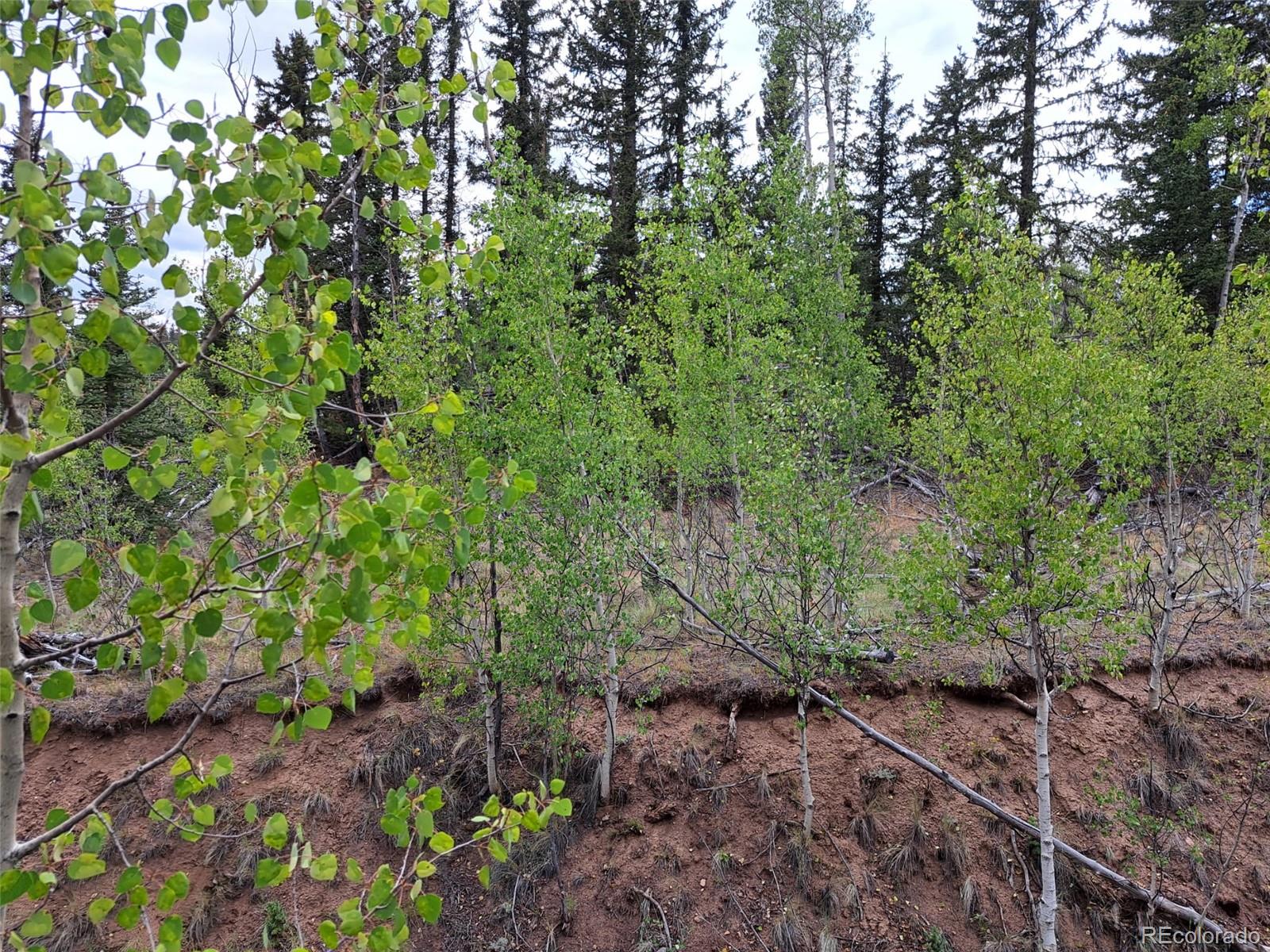 6206 Remington Rd, Como, CO 80432