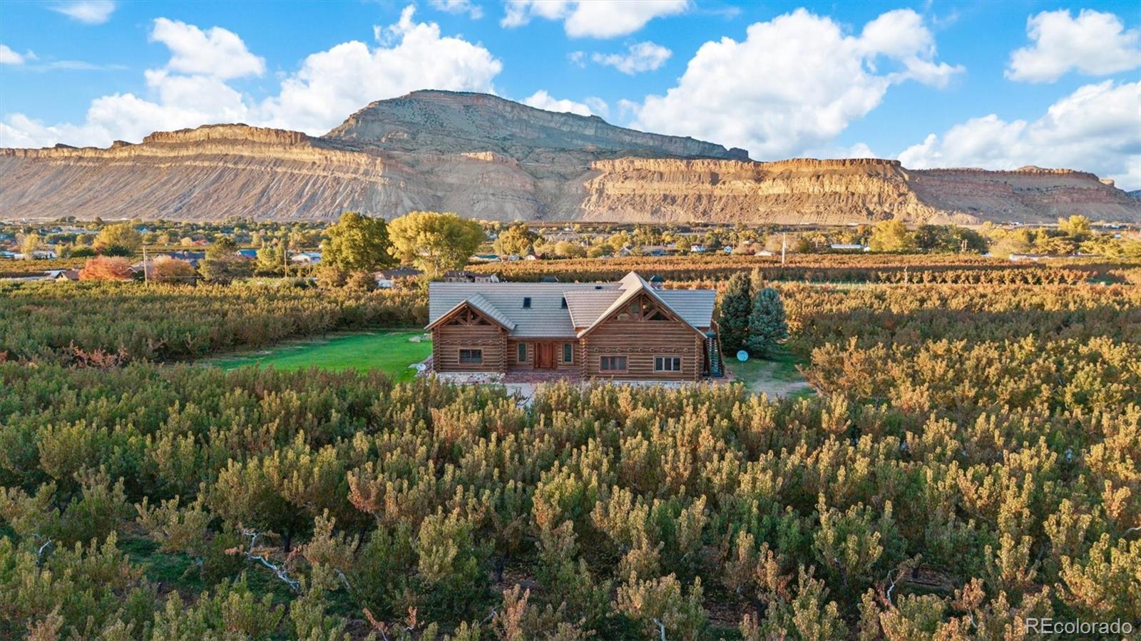 3875 F 3/4 Rd, Palisade, CO 81526