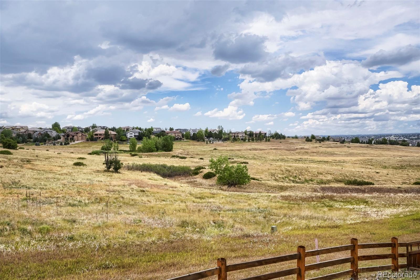 7013 Mentha Dr, Castle Rock, CO 80108