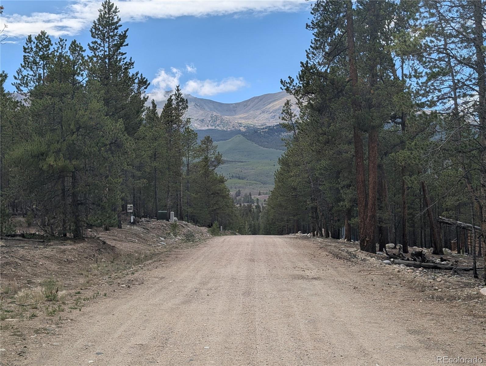 663 Spruce Dr, Twin Lakes, CO 80461