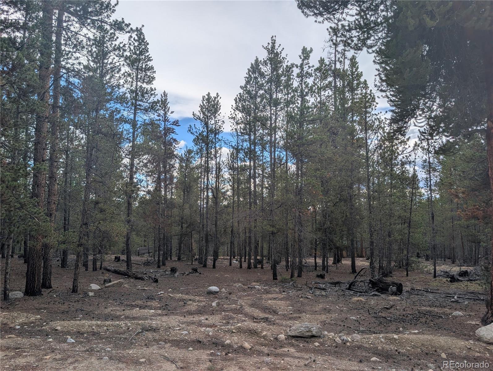 663 Spruce Dr, Twin Lakes, CO 80461