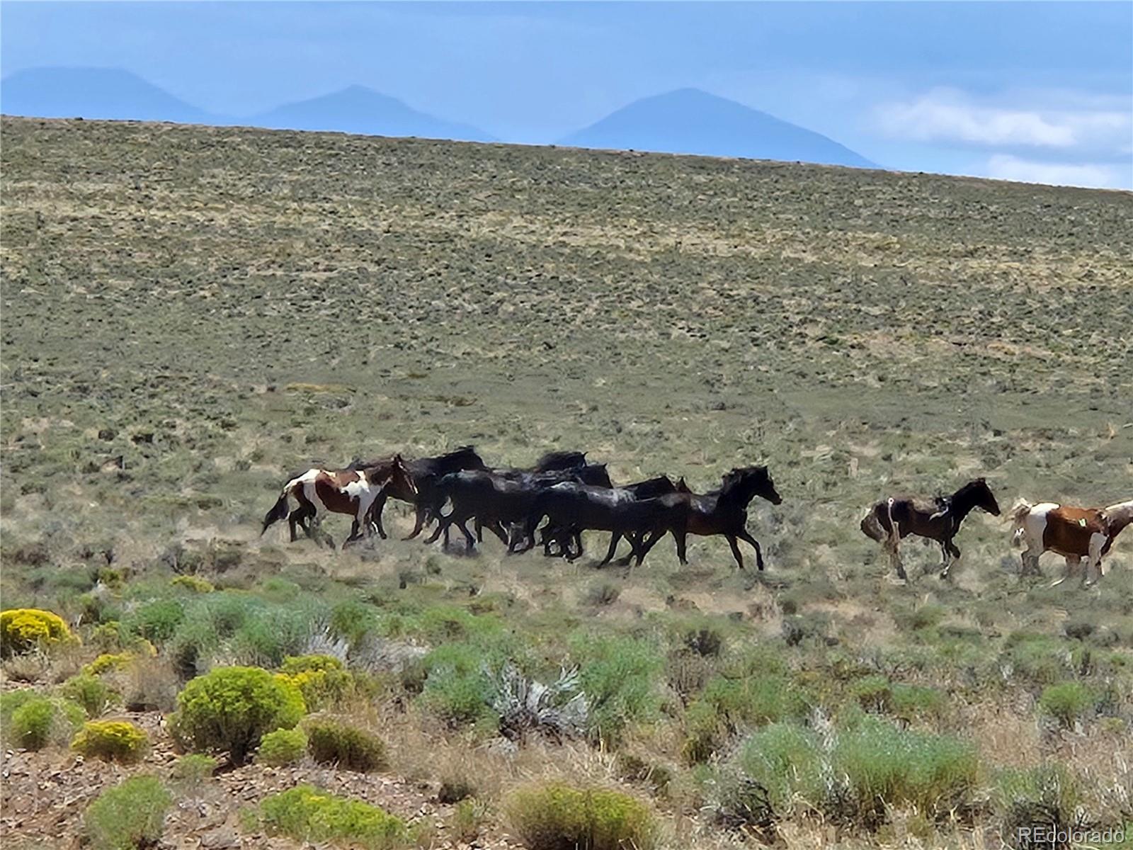 Lot 19 Antonito Trl, Mesita, CO 81152