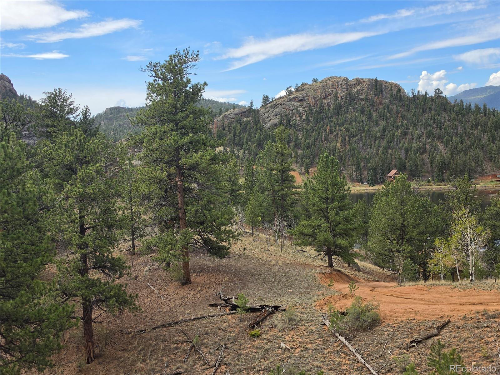 305 Private Dr, Lake George, CO 80827