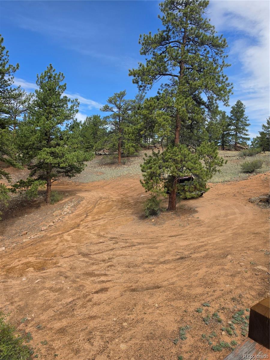 305 Private Dr, Lake George, CO 80827