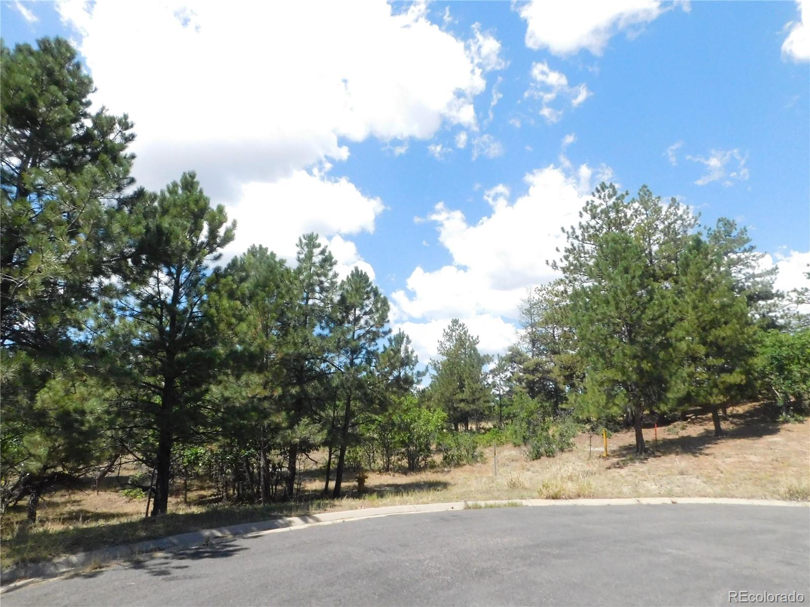 1392 Cameron Ct, Larkspur, CO 80118