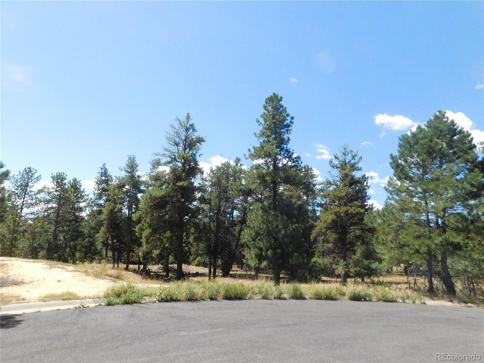 1392 Cameron Ct, Larkspur, CO 80118