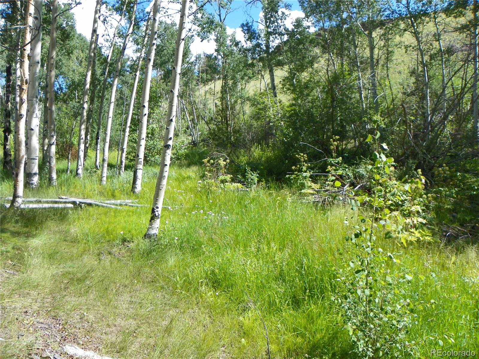 none 33hh, Saguache, CO 81149