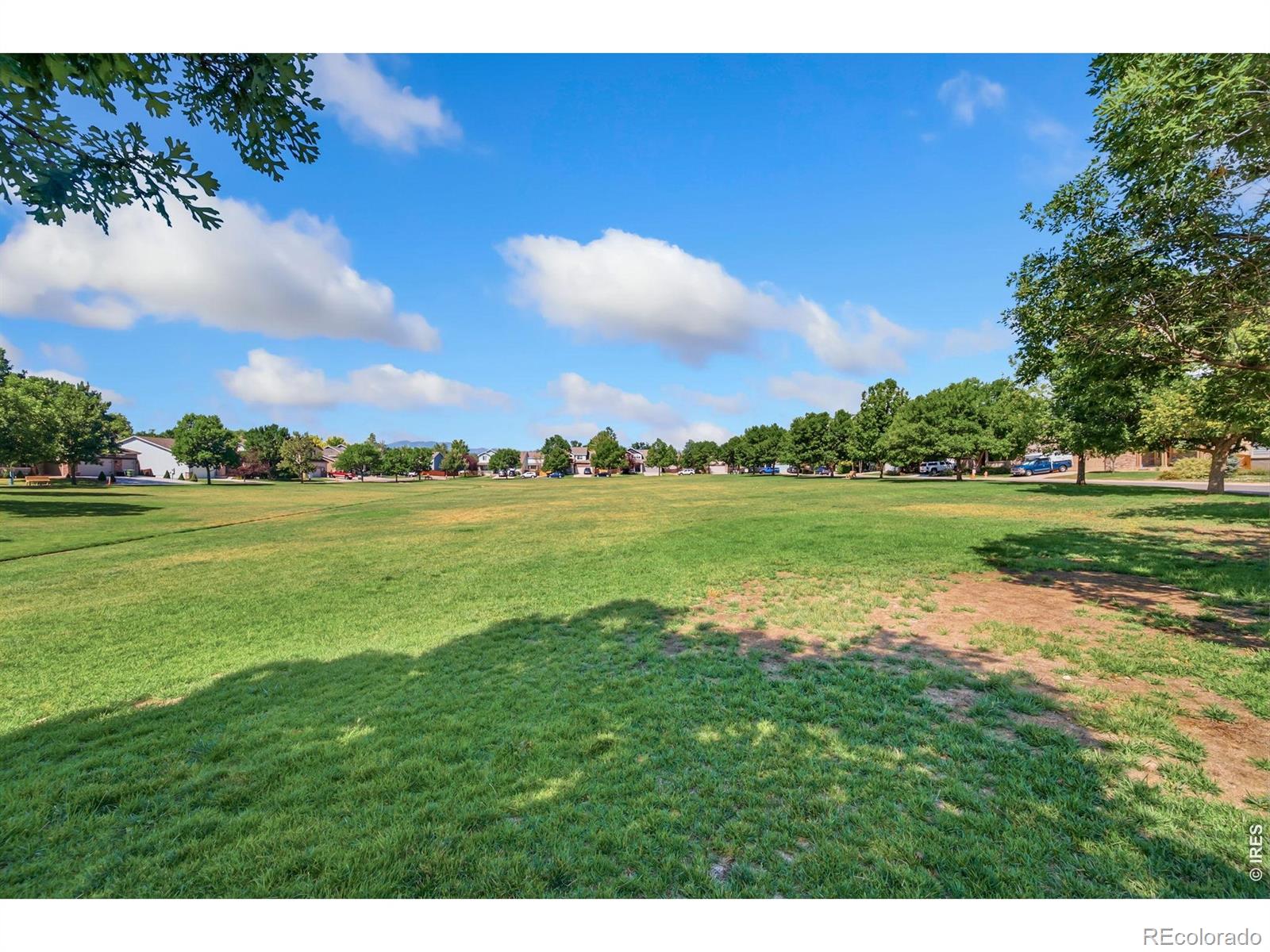 1565 Bengal Ave, Loveland, CO 80537