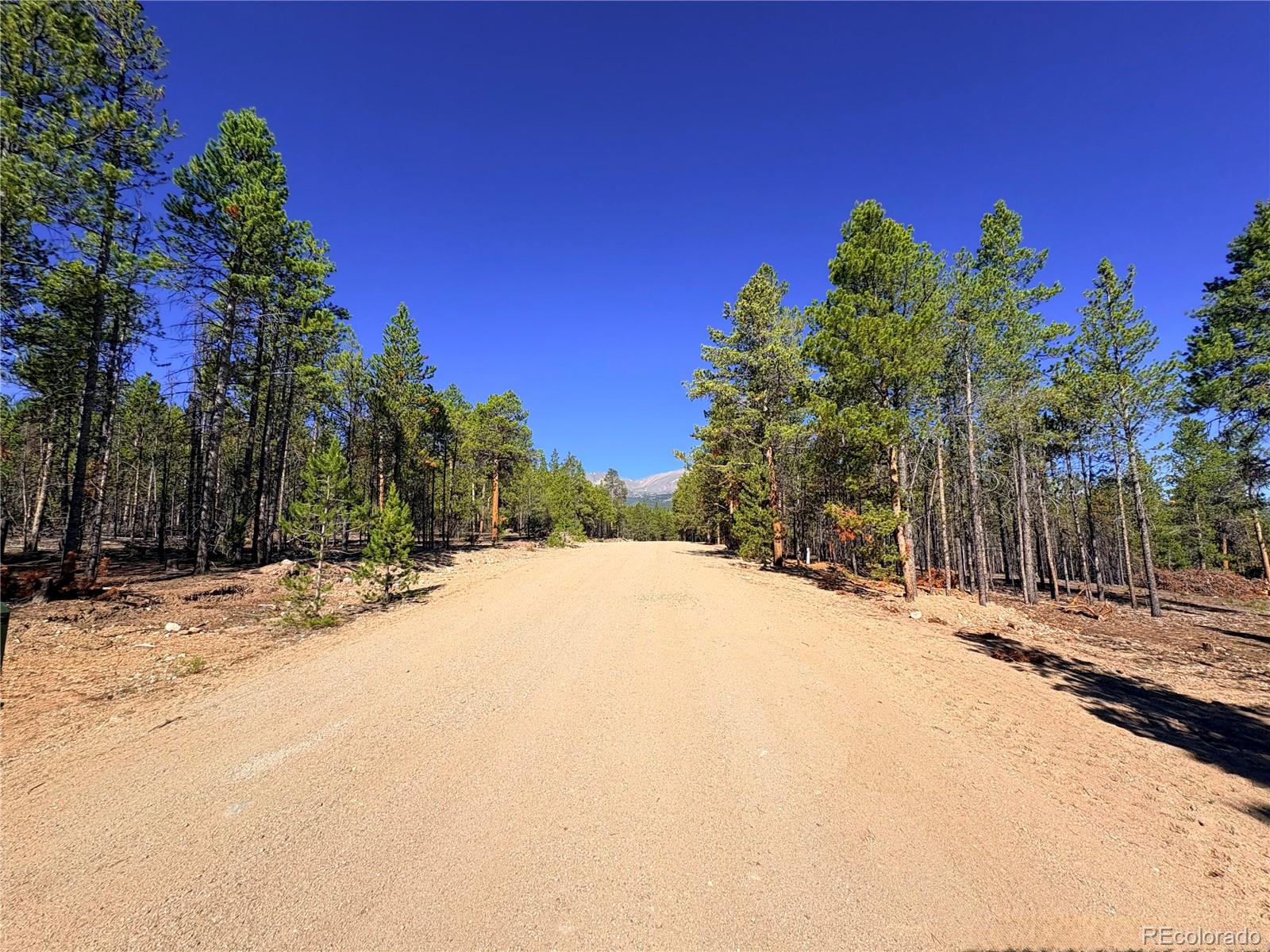399 Lodgepole Dr Lot 28, Leadville, CO 80461
