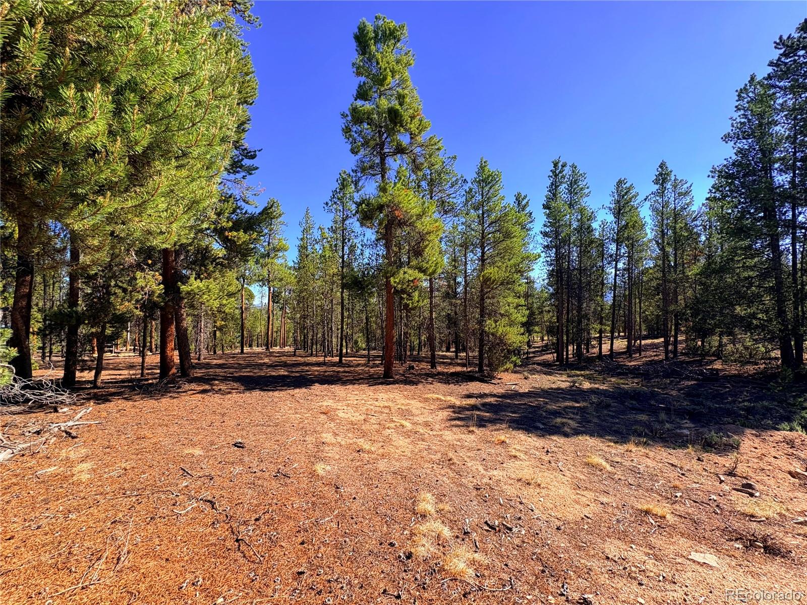 399 Lodgepole Dr Lot 28, Leadville, CO 80461