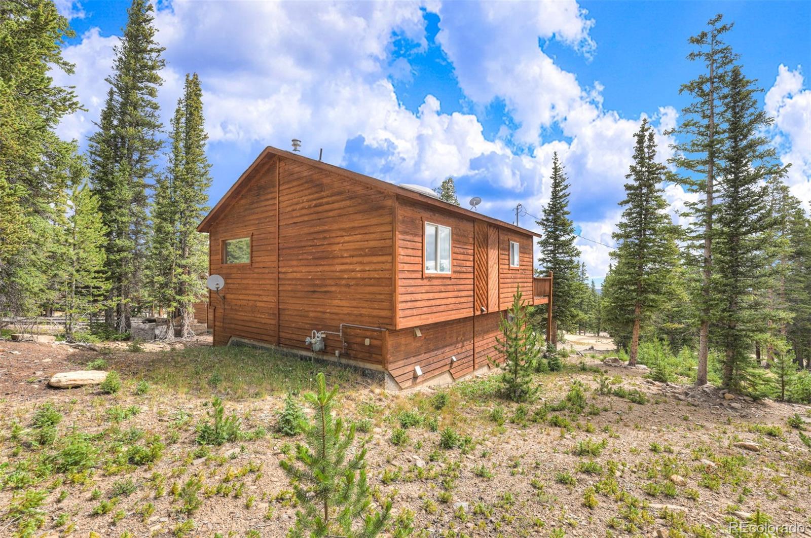 369 Prunes Pl, Fairplay, CO 80440