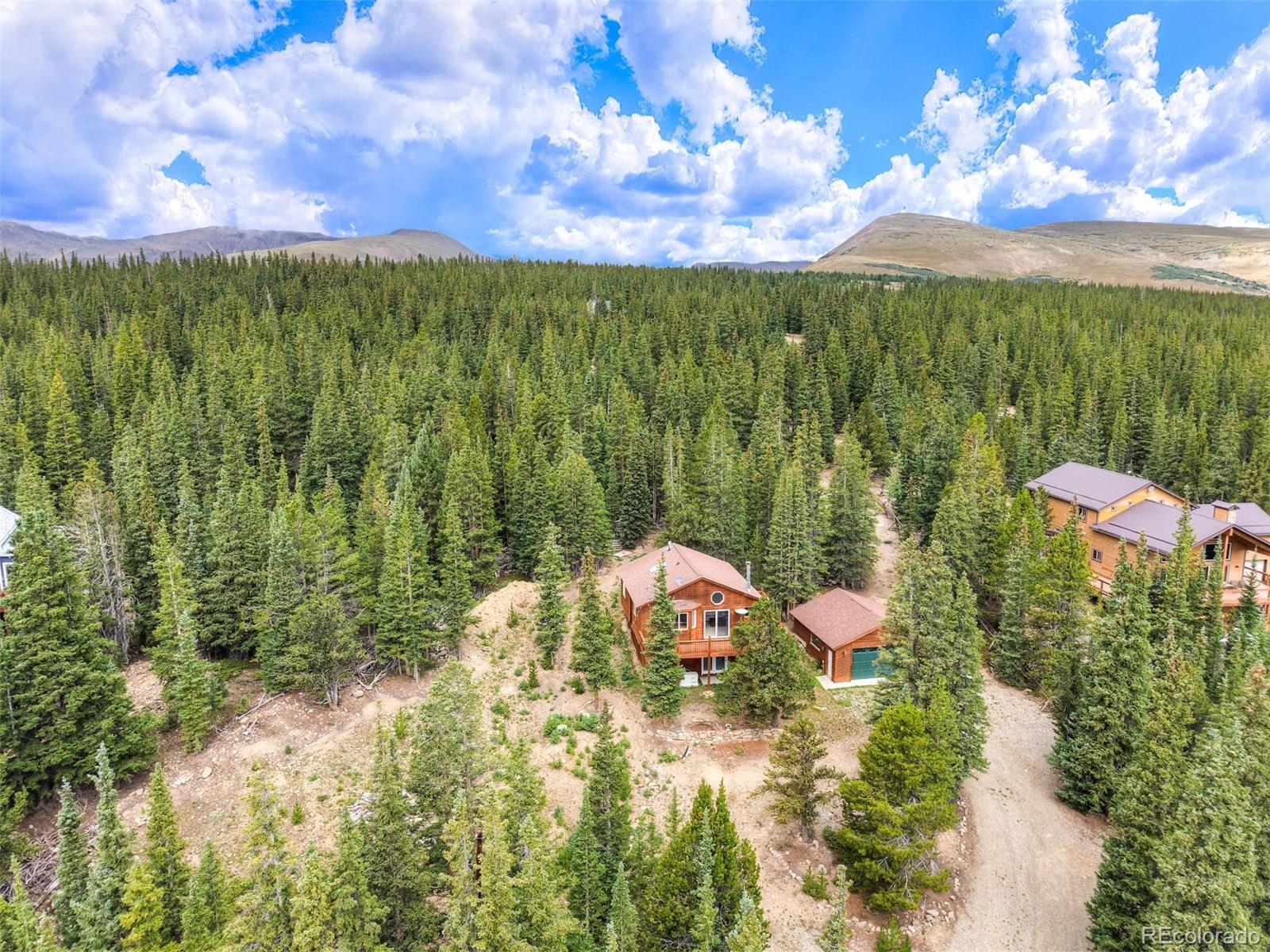369 Prunes Pl, Fairplay, CO 80440