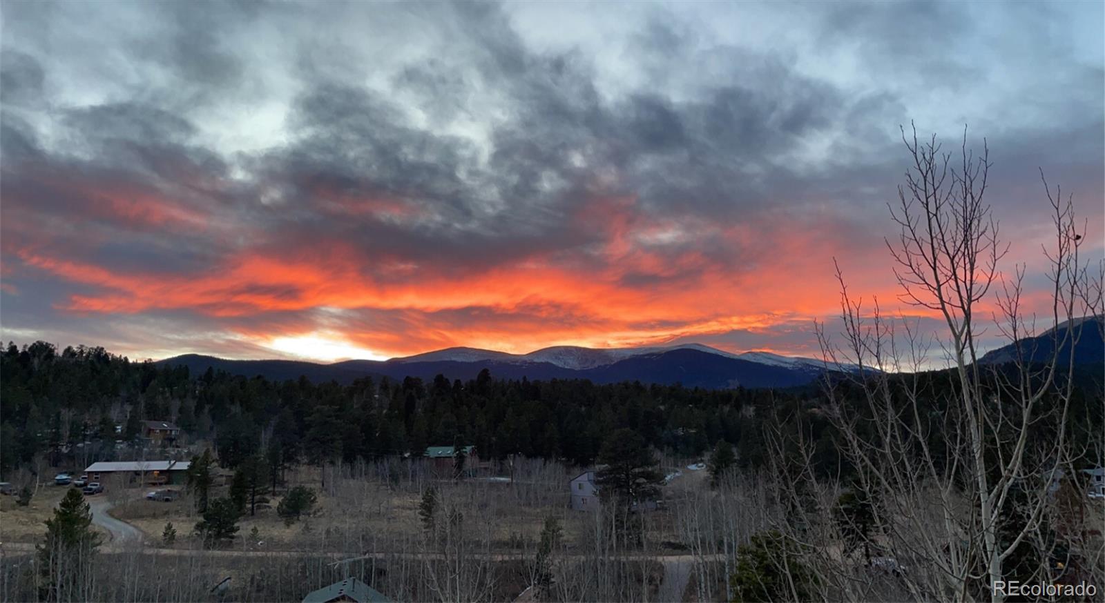 203 Gold Flake Ter, Bailey, CO 80421