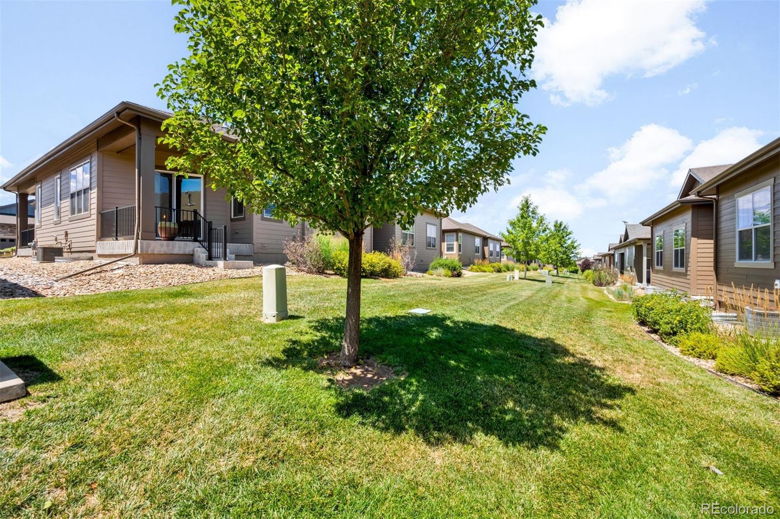 3566 New Haven Cir, Castle Rock, CO 80109
