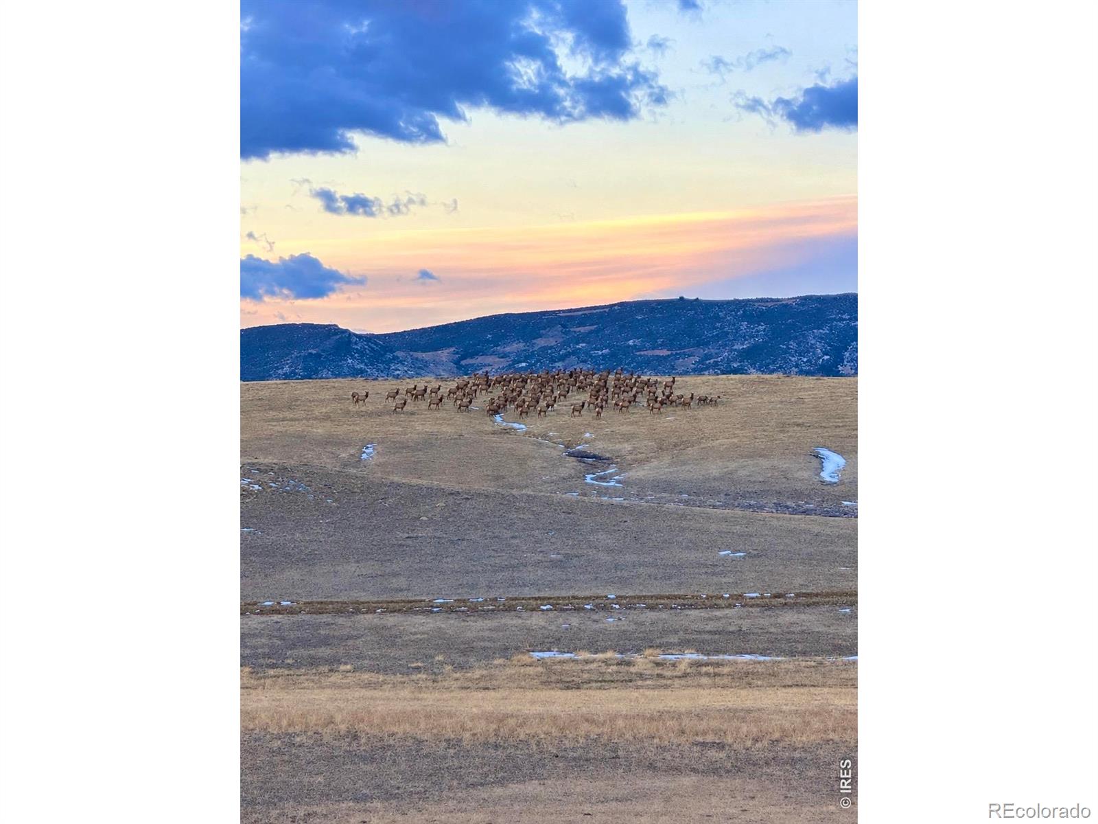 3259 W County Road 80, Wellington, CO 80549