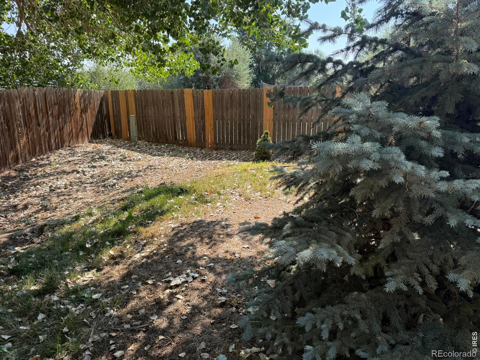 3802 24th Ave, Evans, CO 80620