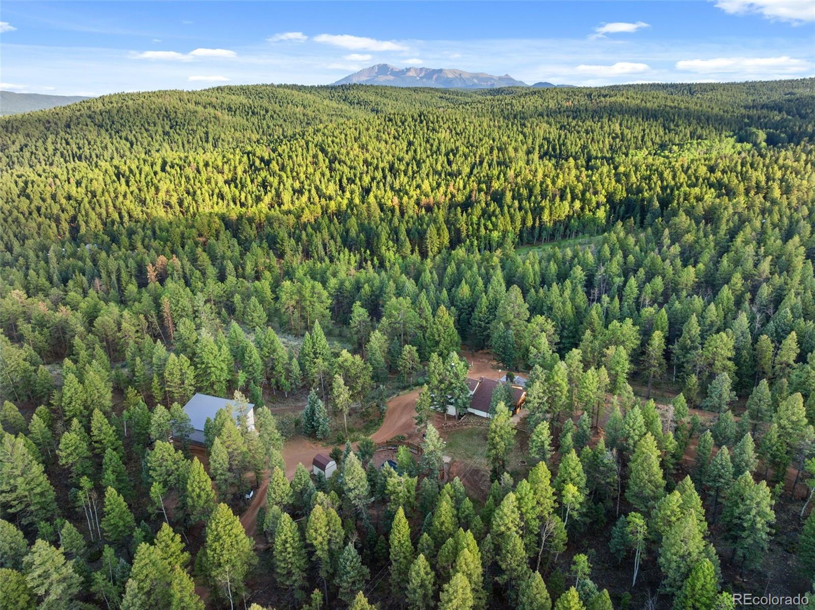 1933 County Road 782, Woodland Park, CO 80863
