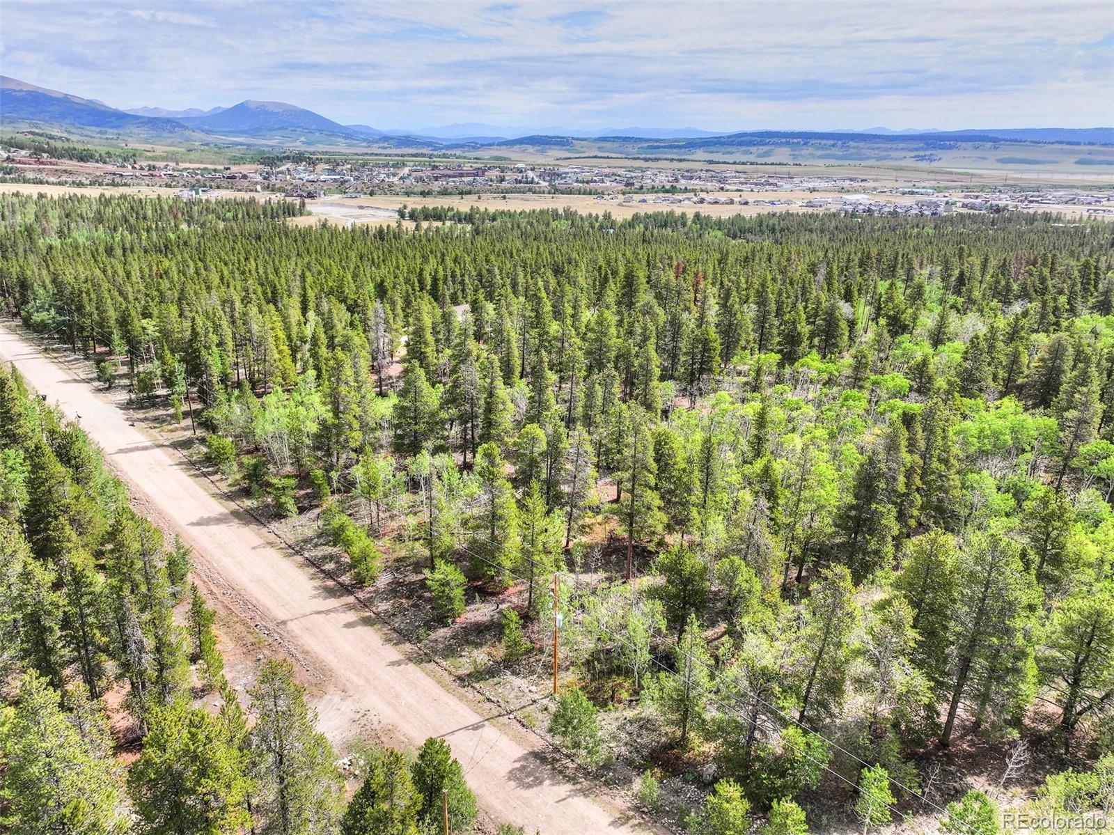 198 Green Bottle Cir, Fairplay, CO 80440