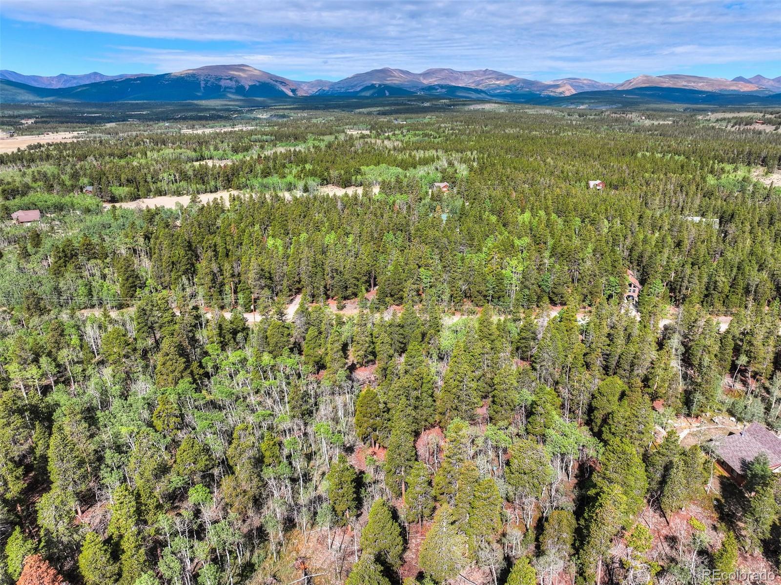 198 Green Bottle Cir, Fairplay, CO 80440