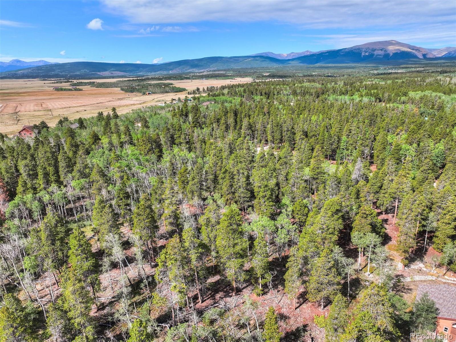 198 Green Bottle Cir, Fairplay, CO 80440