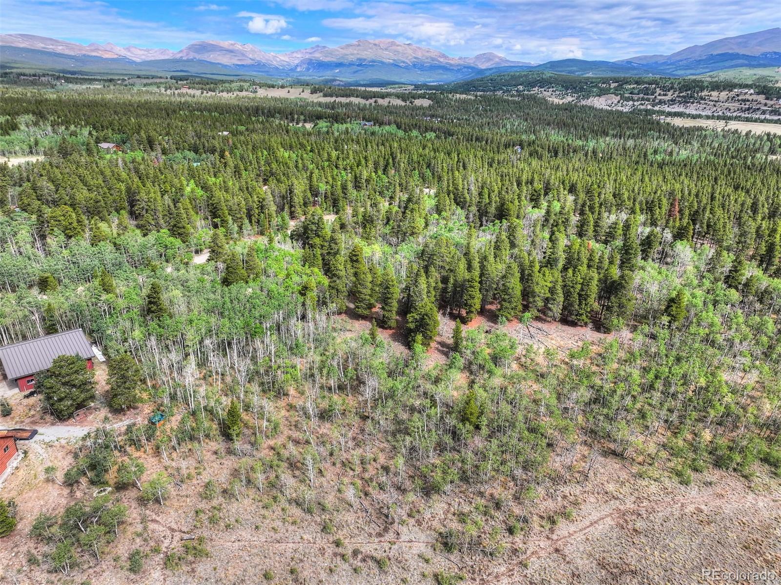 242 Green Bottle Cir, Fairplay, CO 80440