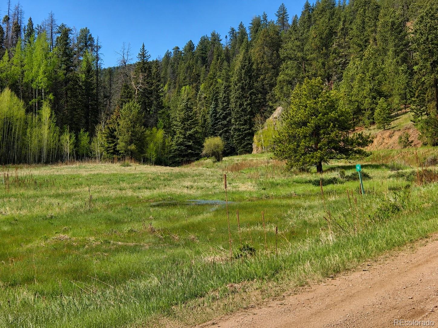 Lot 1 Co Rd 358 Lot 1, Westcliffe, CO 81252