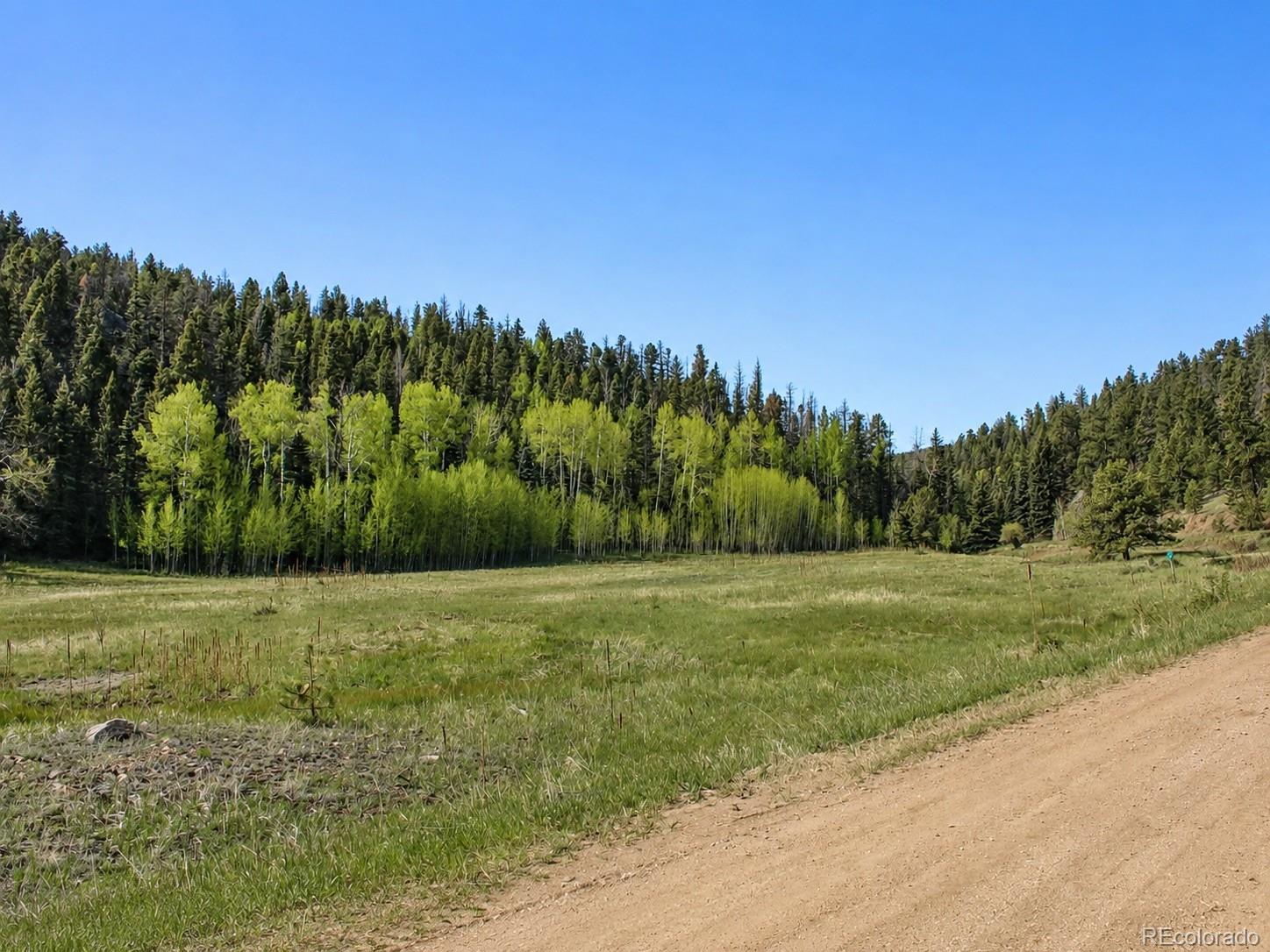 Lot 1 Co Rd 358 Lot 1, Westcliffe, CO 81252