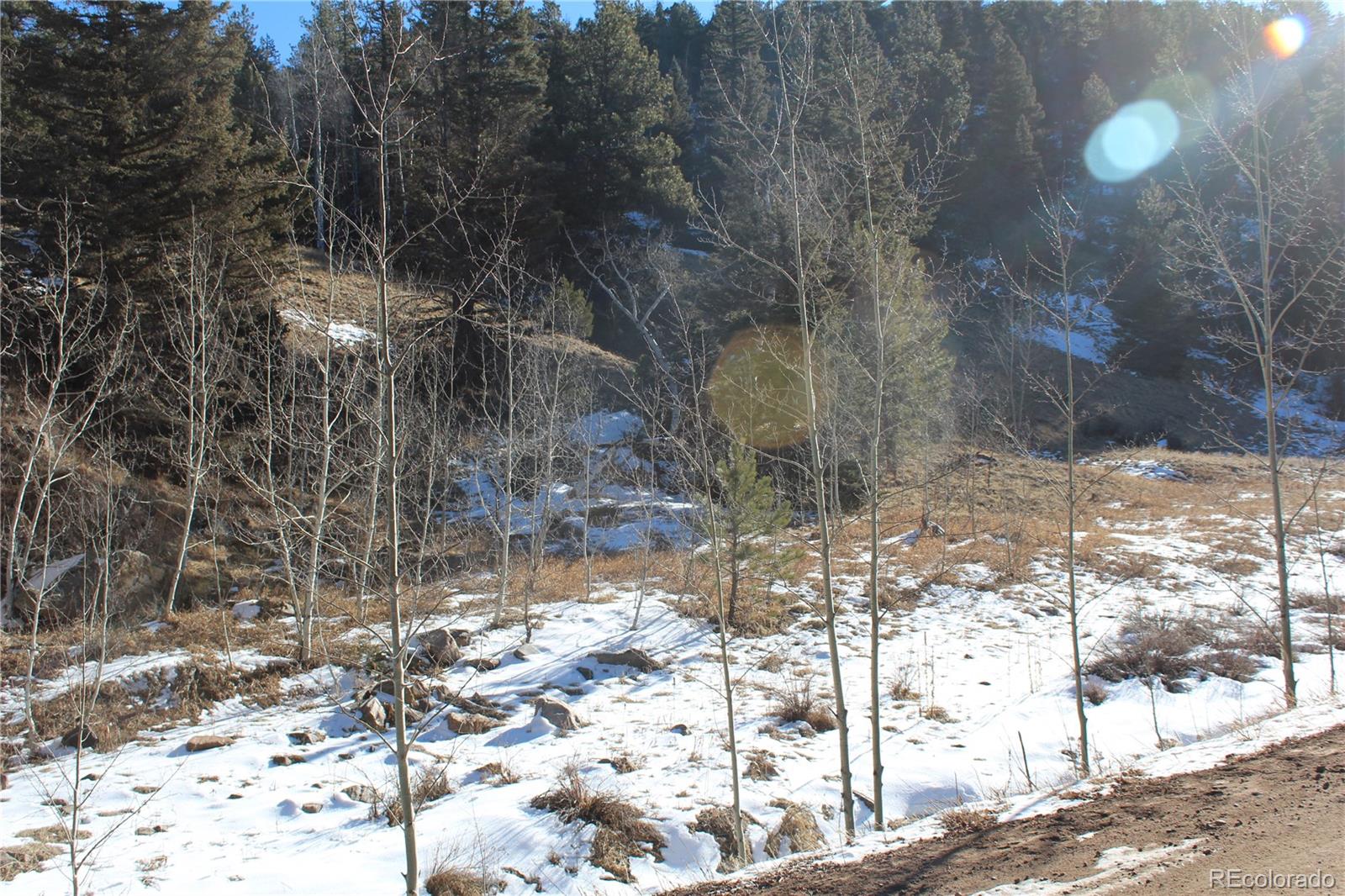 Lot 1 Co Rd 358 Lot 1, Westcliffe, CO 81252
