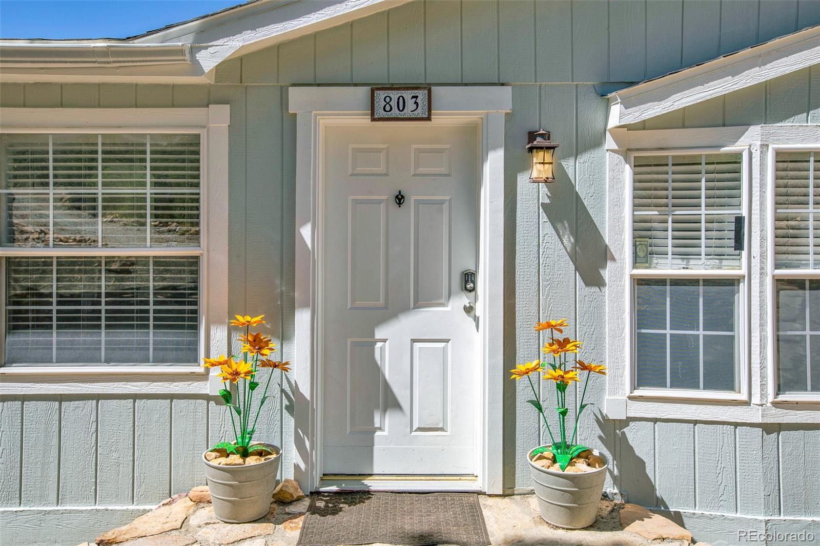 803 Bonell Dr, Fairplay, CO 80440