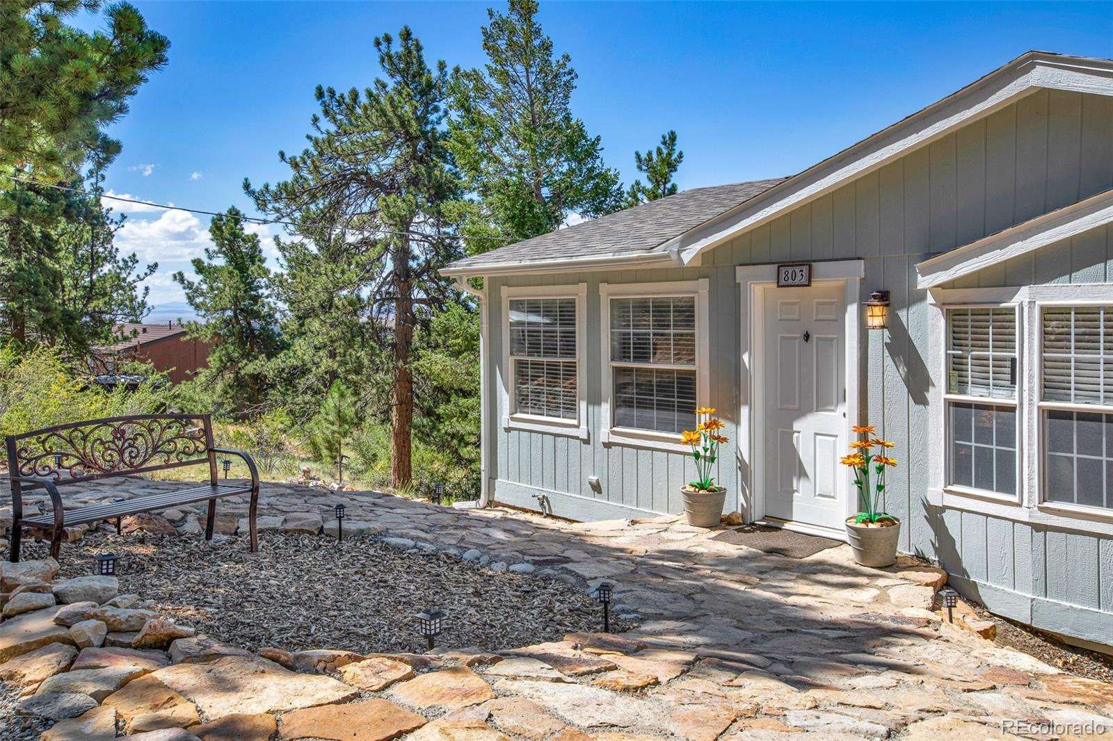 803 Bonell Dr, Fairplay, CO 80440