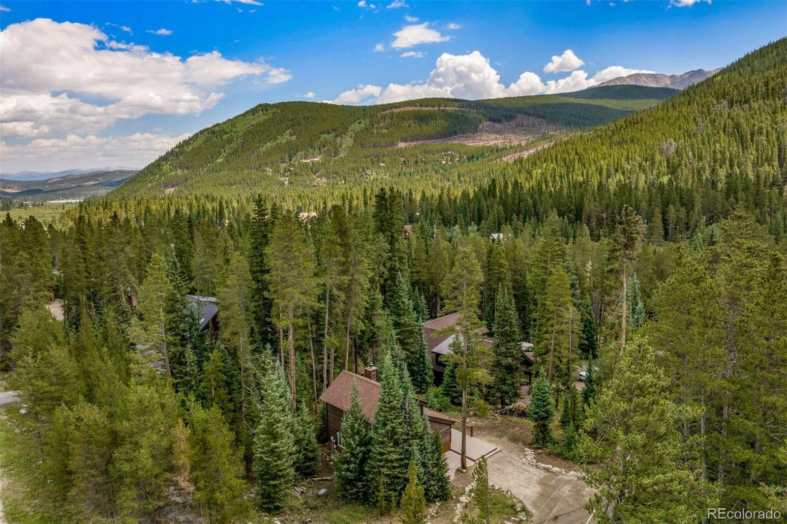 17 Blue Grouse Trl, Blue River, CO 80424