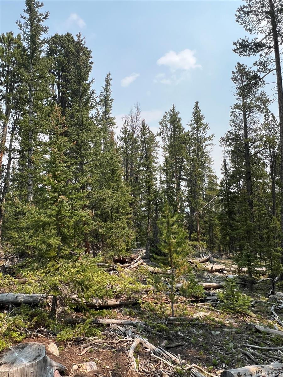 914 Bobcat Ln Lot 0431, Fairplay, CO 80440