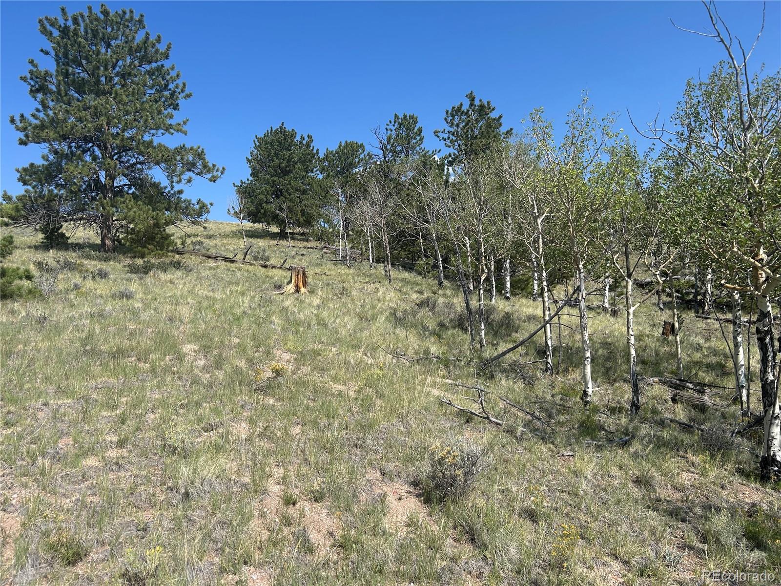 11414 Ranch Rd Lot 1022, Hartsel, CO 80449