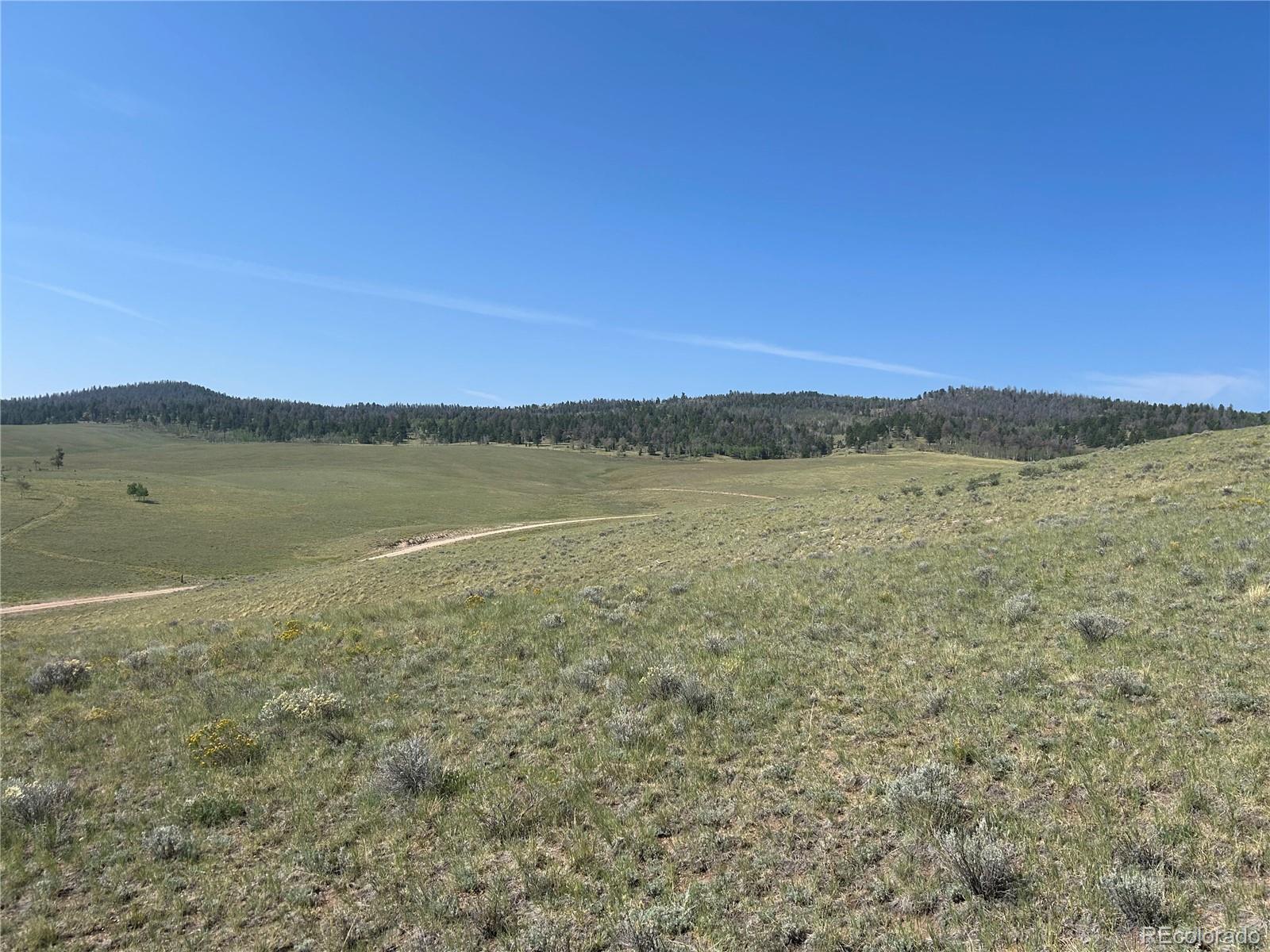 11414 Ranch Rd Lot 1022, Hartsel, CO 80449