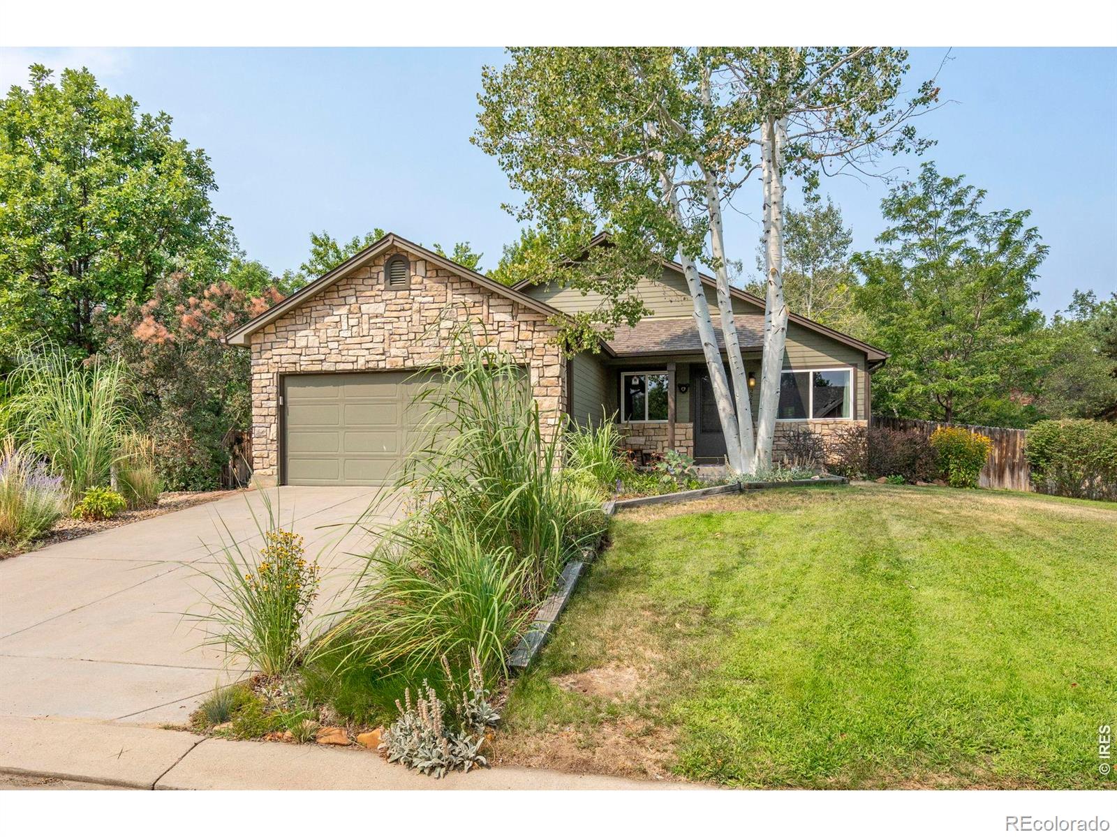 224 Yellowfield Way, Erie, CO 80516