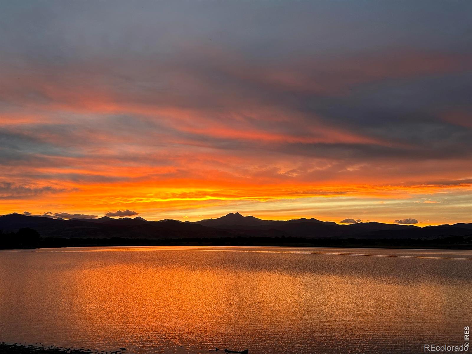 1900 N Shore Dr, Longmont, CO 80503