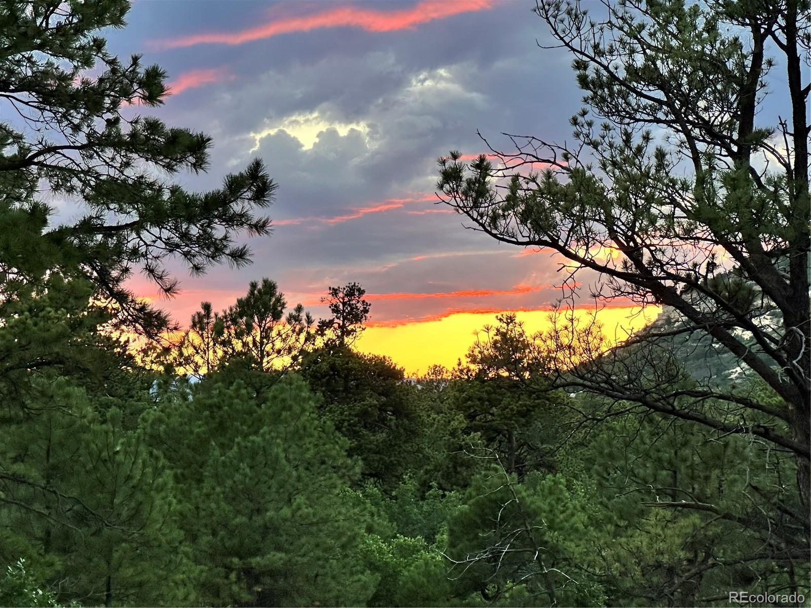15969 Ray Dr, Larkspur, CO 80118