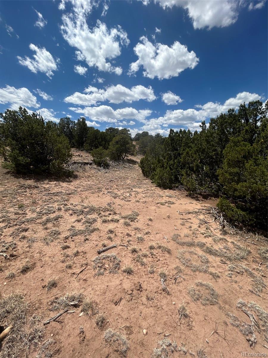 Cr 530, Walsenburg, CO 81089