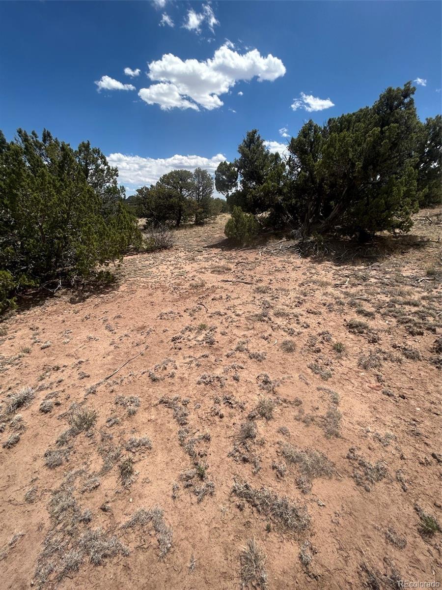 Cr 530, Walsenburg, CO 81089