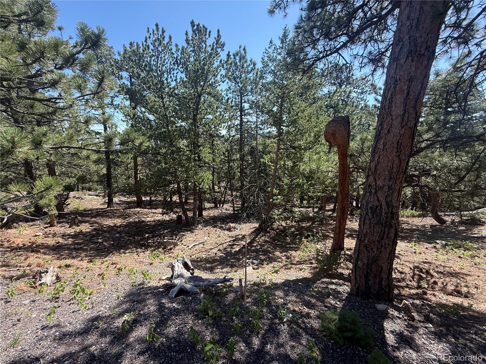 11548 Overlook Dr, Golden, CO 80403