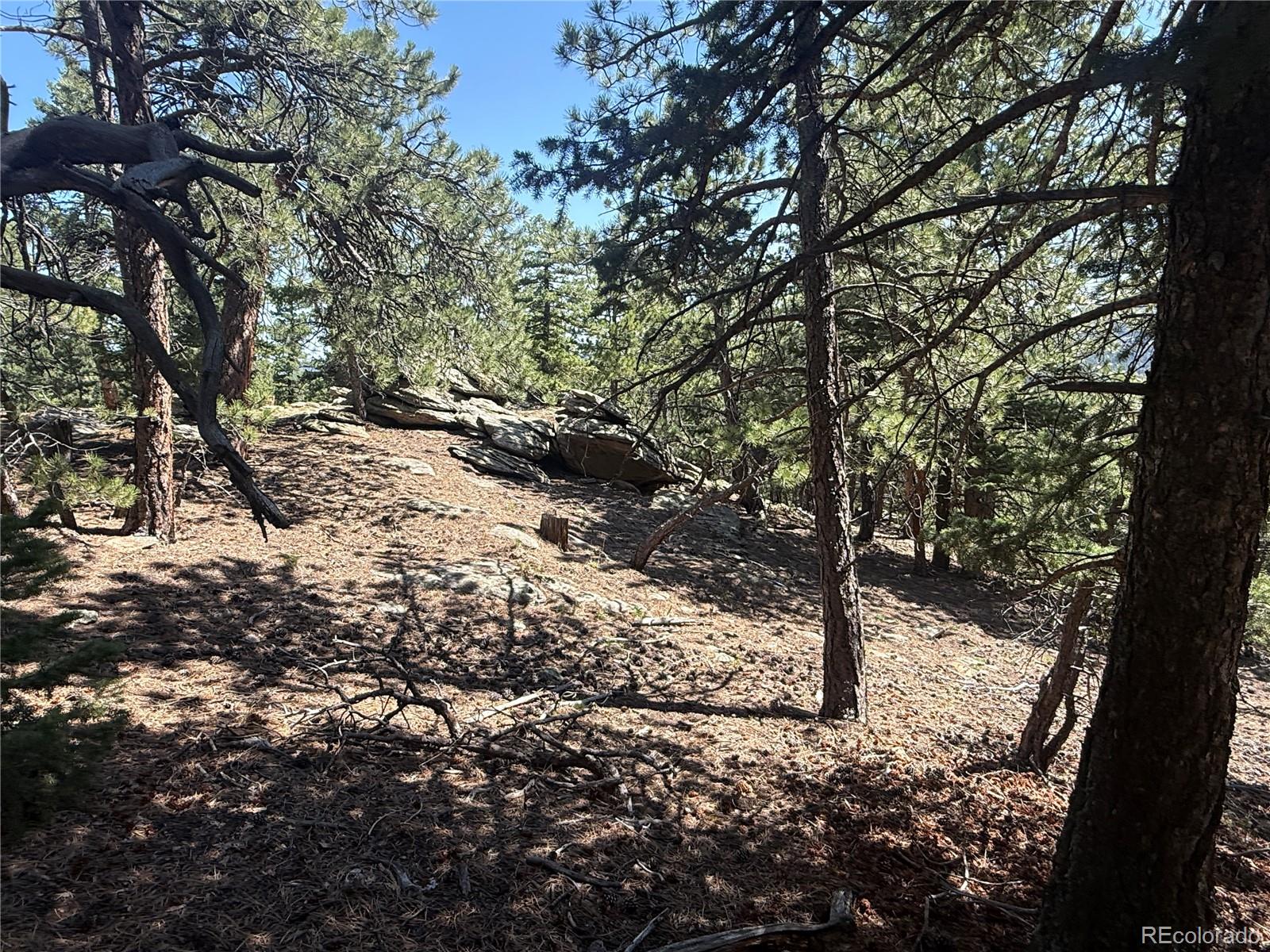11548 Overlook Dr, Golden, CO 80403