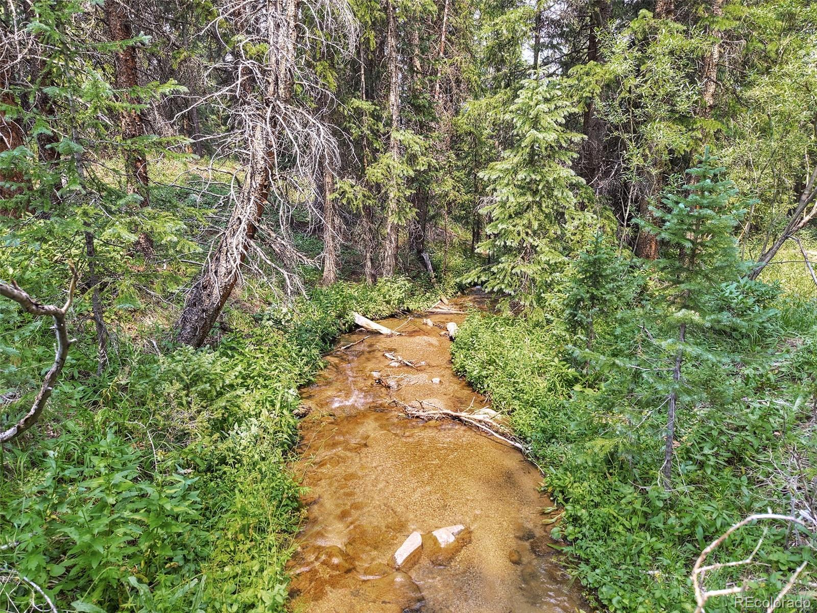 757 Cr 674, Breckenridge, CO 80424
