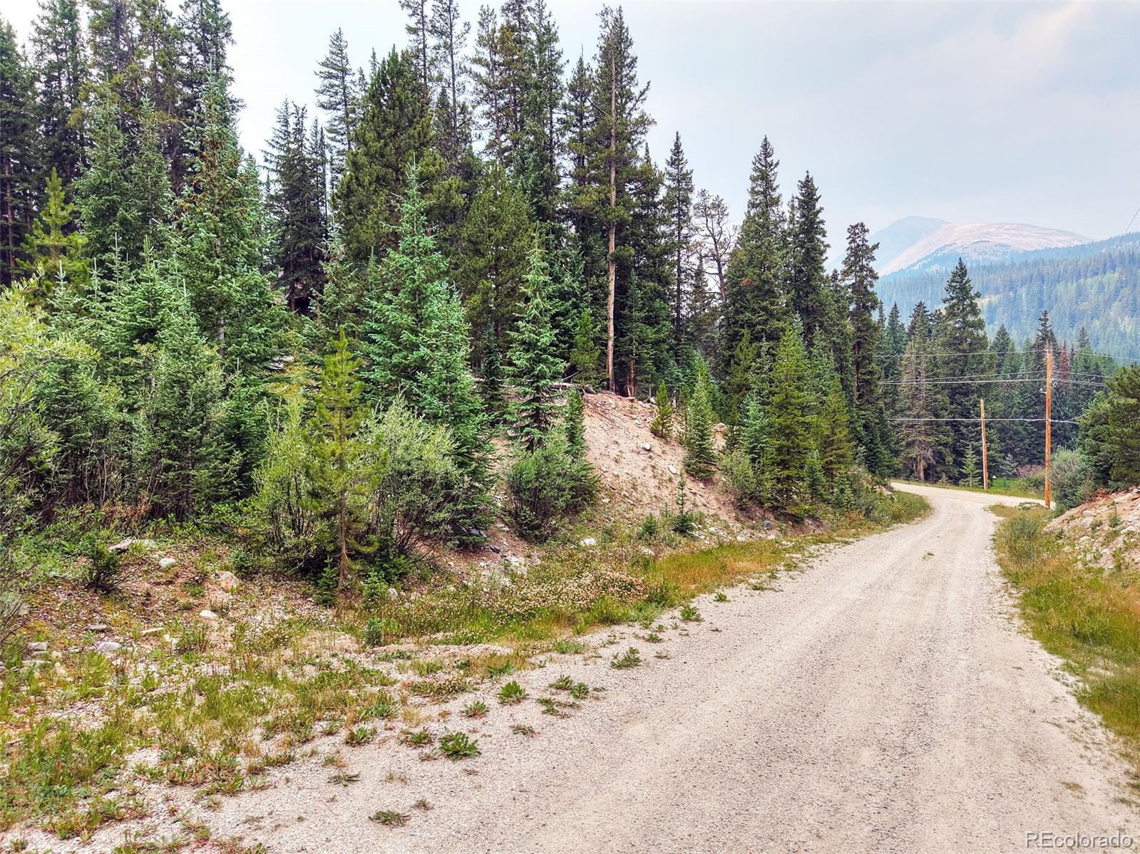 757 Cr 674, Breckenridge, CO 80424