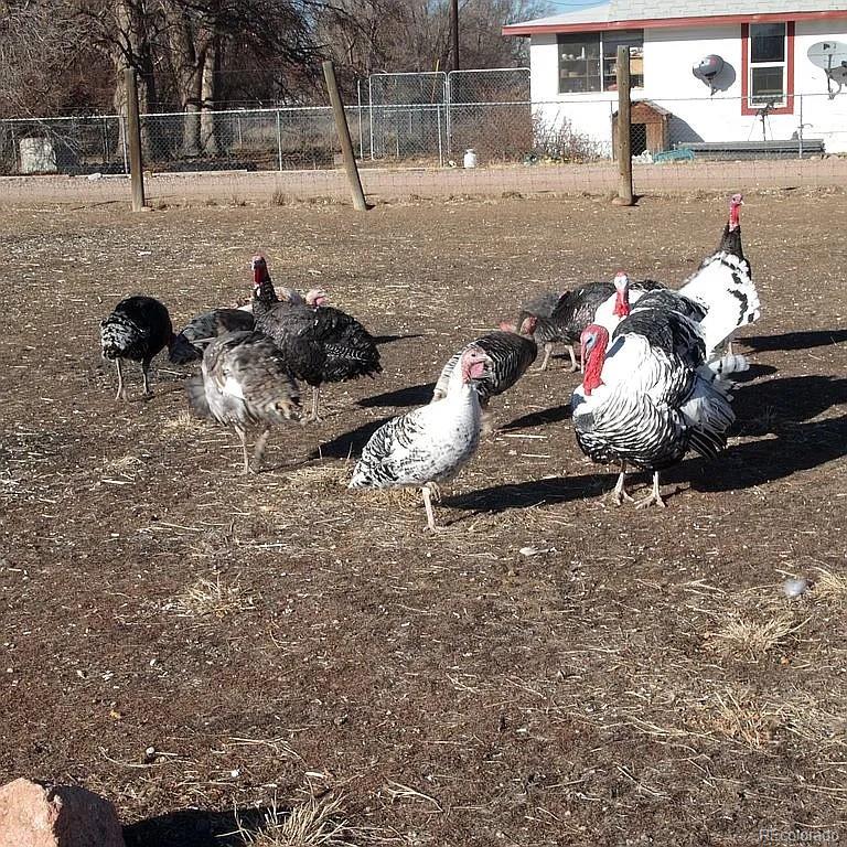 12380 York St, Thornton, CO 80241