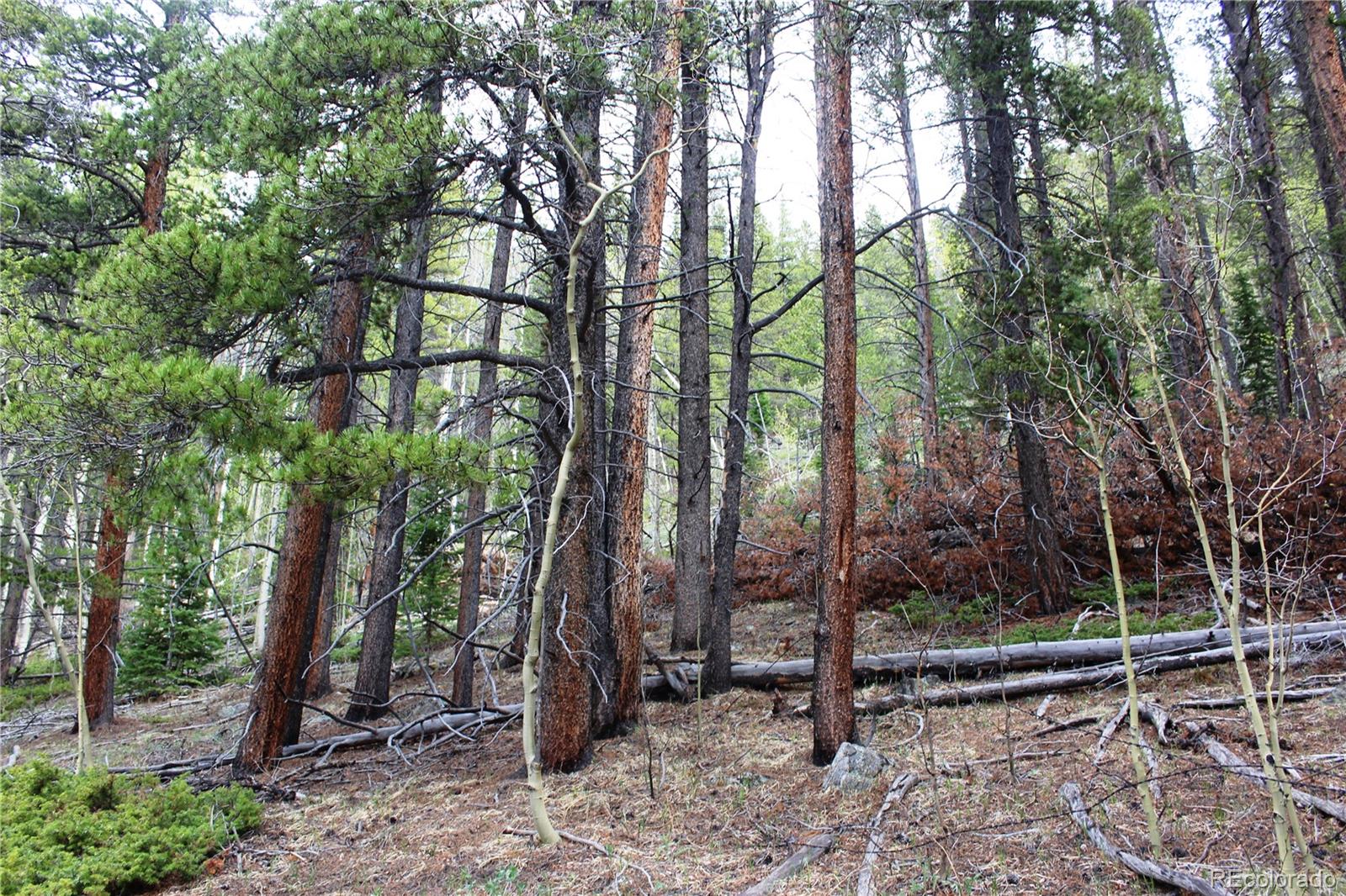 00 Broomfield Gulch Rd Lot 6050, Black Hawk, CO 80422