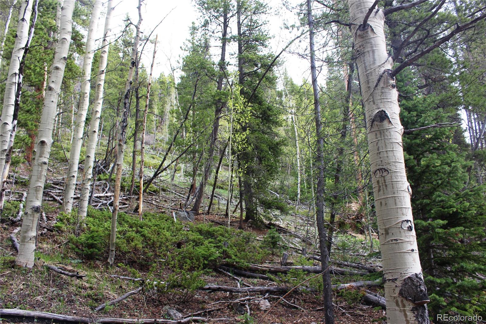 00 Broomfield Gulch Rd Lot 6050, Black Hawk, CO 80422