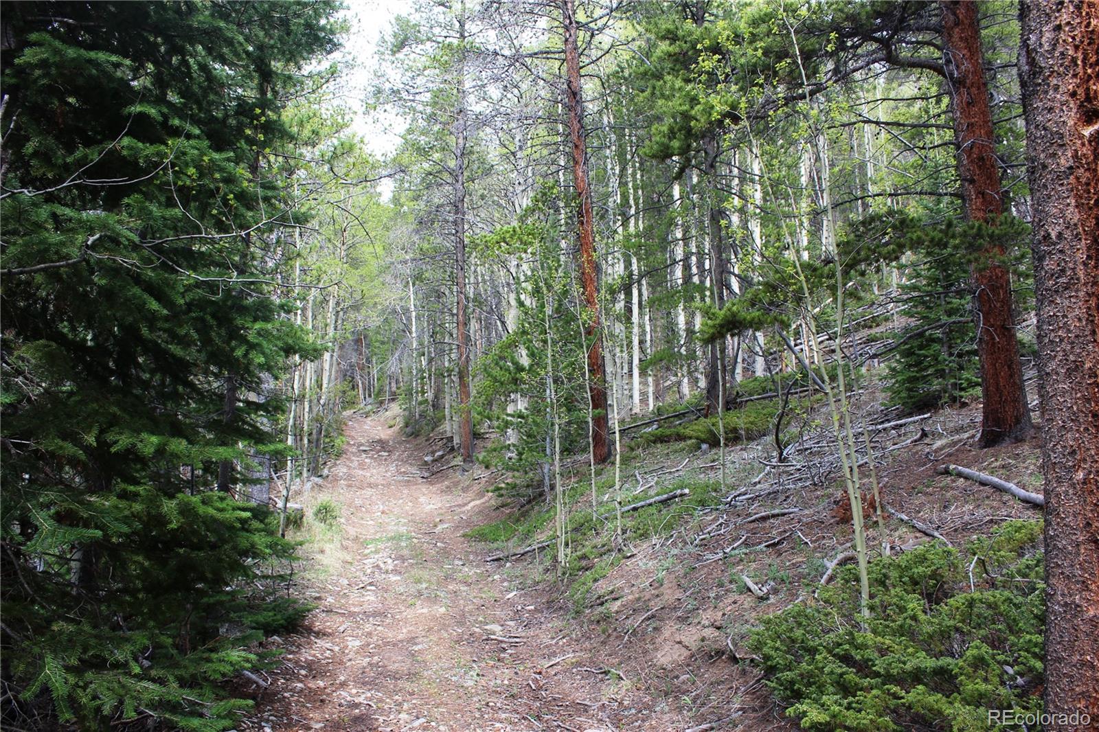 00 Broomfield Gulch Rd Lot 6050, Black Hawk, CO 80422