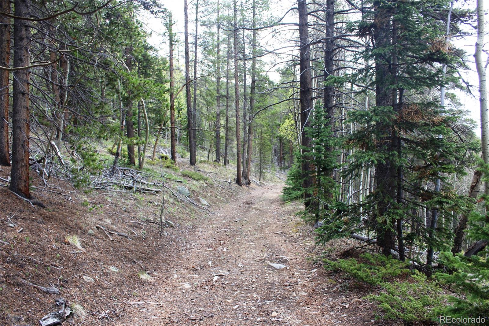 00 Broomfield Gulch Rd Lot 6050, Black Hawk, CO 80422