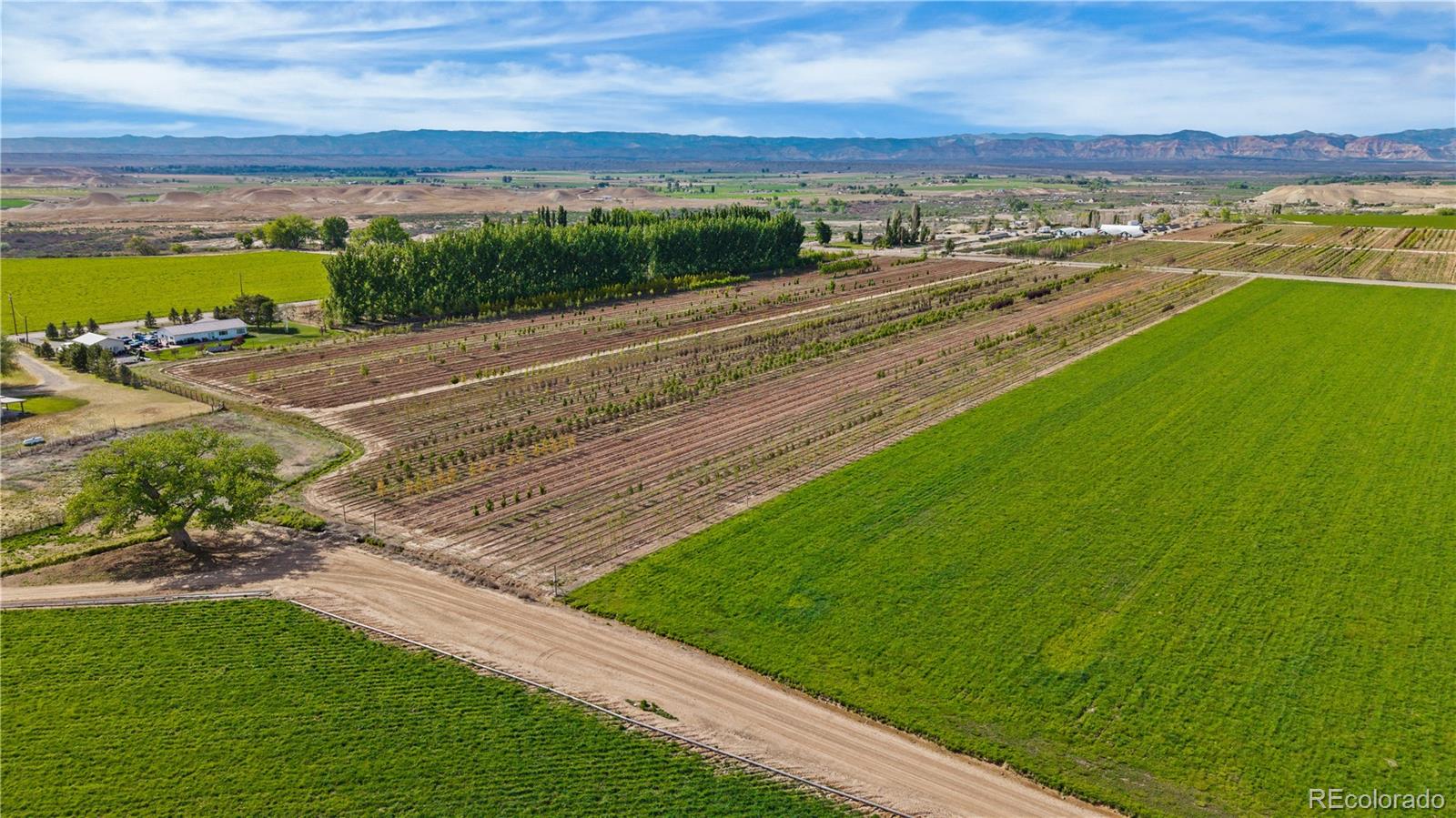 1702 10 Rd, Mack, CO 81525