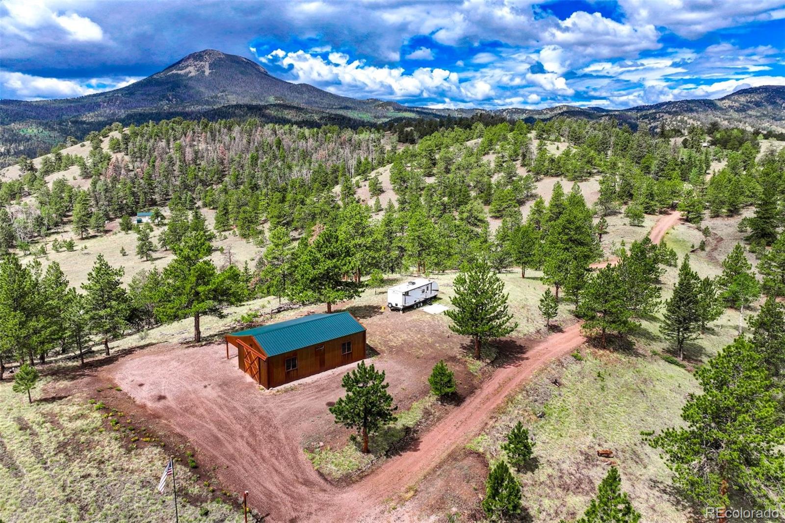 75 Deer Rn, Guffey, CO 80820
